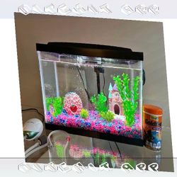 All-Set Aquarium Package - Discover Water World Magic truth try
