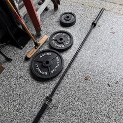 Barbell  With  Weights  • 45s / 35s / 25s