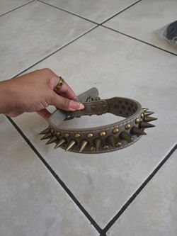 Pet collar  metallic hardware