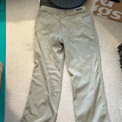 Patagonia Pant Size 35
