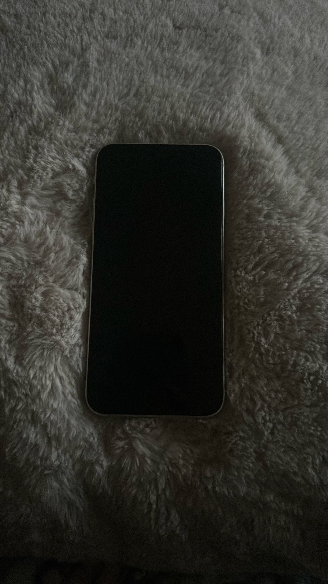 iPhone SE