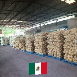 Wholesale Of Coconuts 