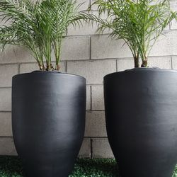 Large Terracotta planters Two For $120 Free delivery in SD