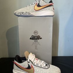 LEBRON XX