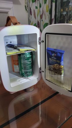 Mini refrigerator
