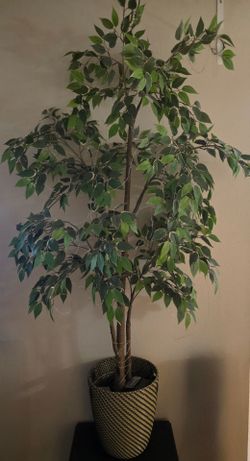 artificial plant 60" tall