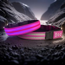 Brand New Light Up Pet Collar In Pink