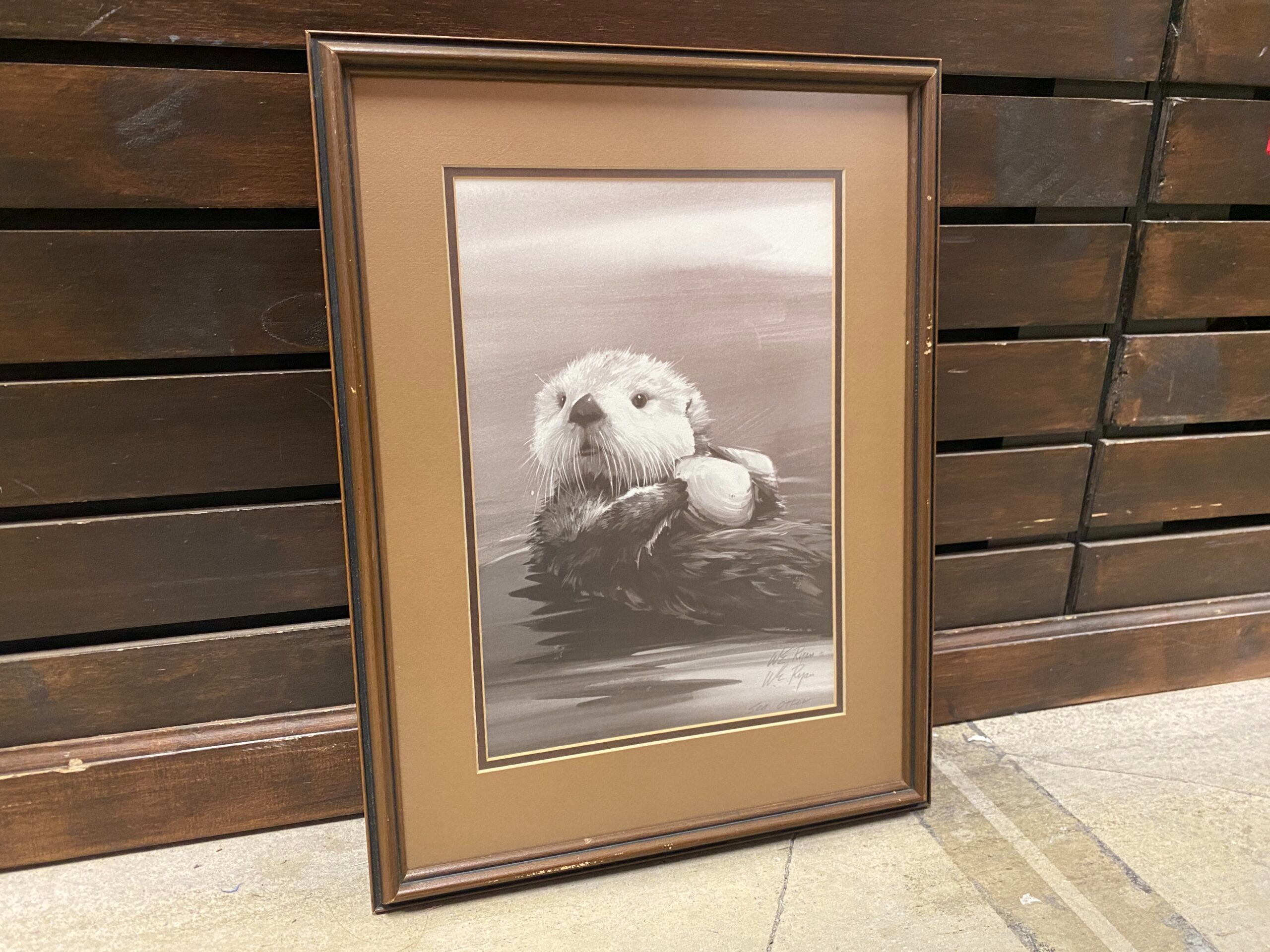 “Sea Otter” by W.E. Ryan Print