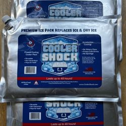 XL Cooler Ice Packs 