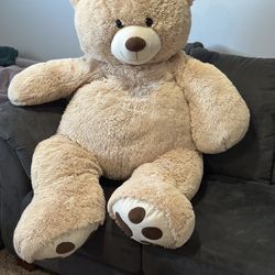 Giant Teddy Bear