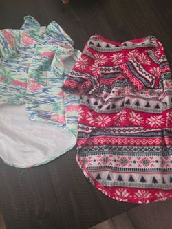 Dog xl 2 shirts