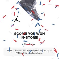 Nike Air Jordan 5 Wolf Grey 