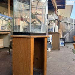 fish tank reptile tank