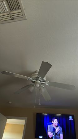 Fans