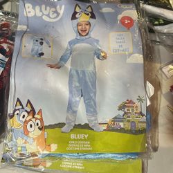 bluey
