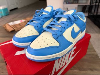 Size 8 Nike Dunks