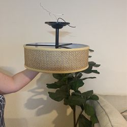 Low Hanging Decorative Ceiling Lamp 