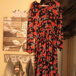 Brand New Women's Size 4 Sheer Rose Dress. (Ankle Length.)