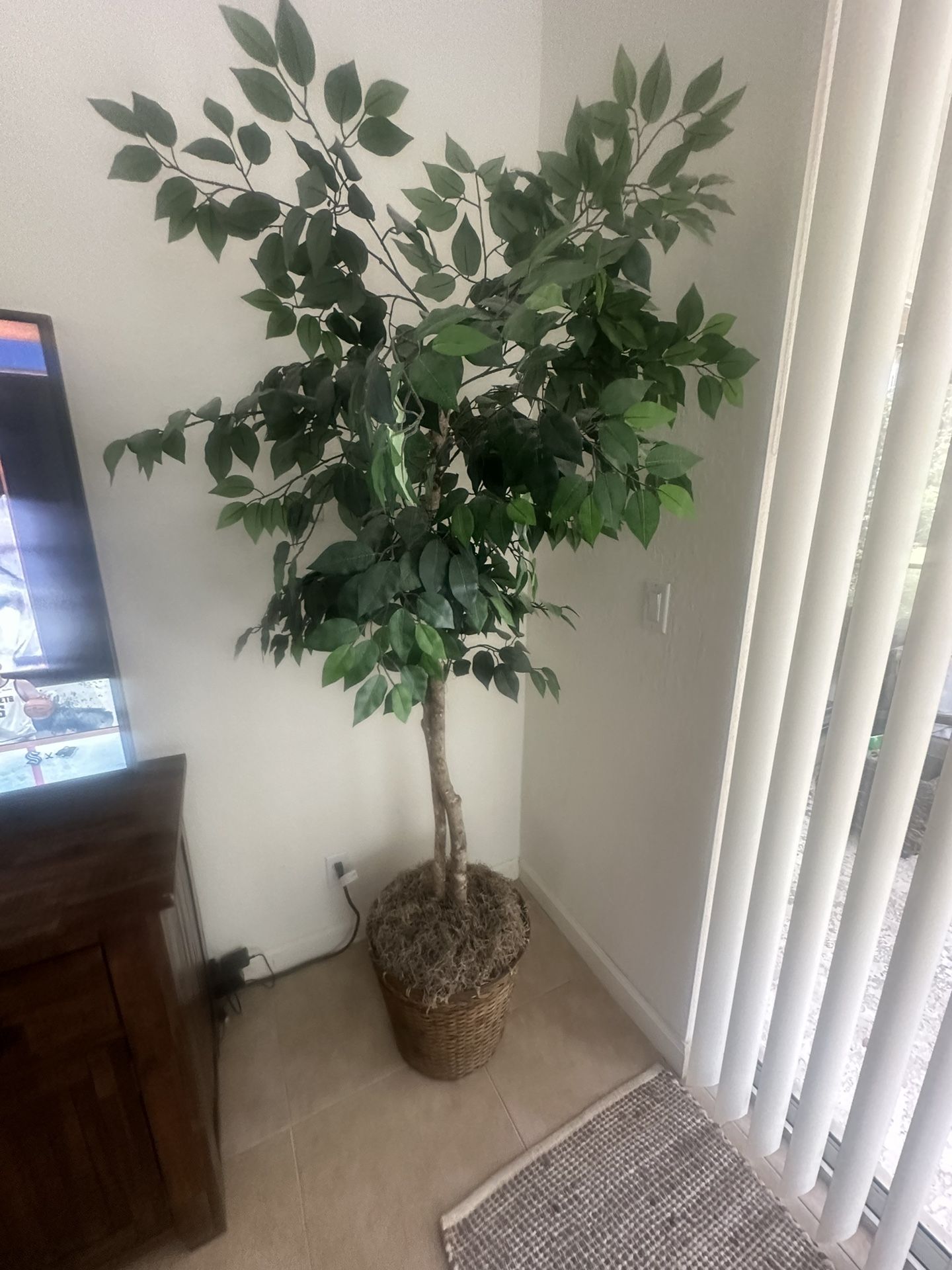 Fake Indoor Tree 6ft Tall 