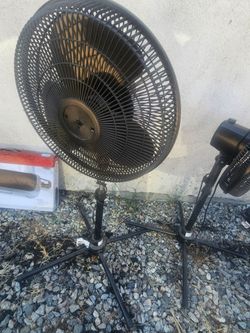 Lamps and Fan