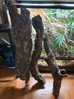 Reptile cork bark