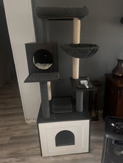 Cat scratcher with storage