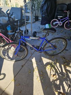 Roadmaster MT. Fury Blue Mountain Bike