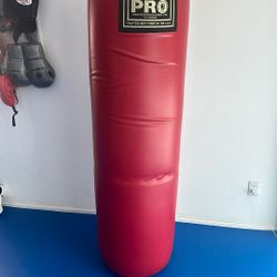250lb Punching Heavy Bag
