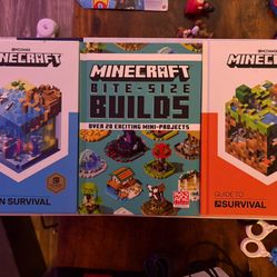 Minecraft Books