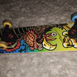 Brand New Skateboard 