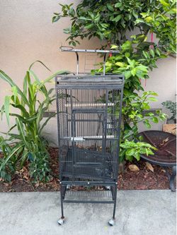 Cage