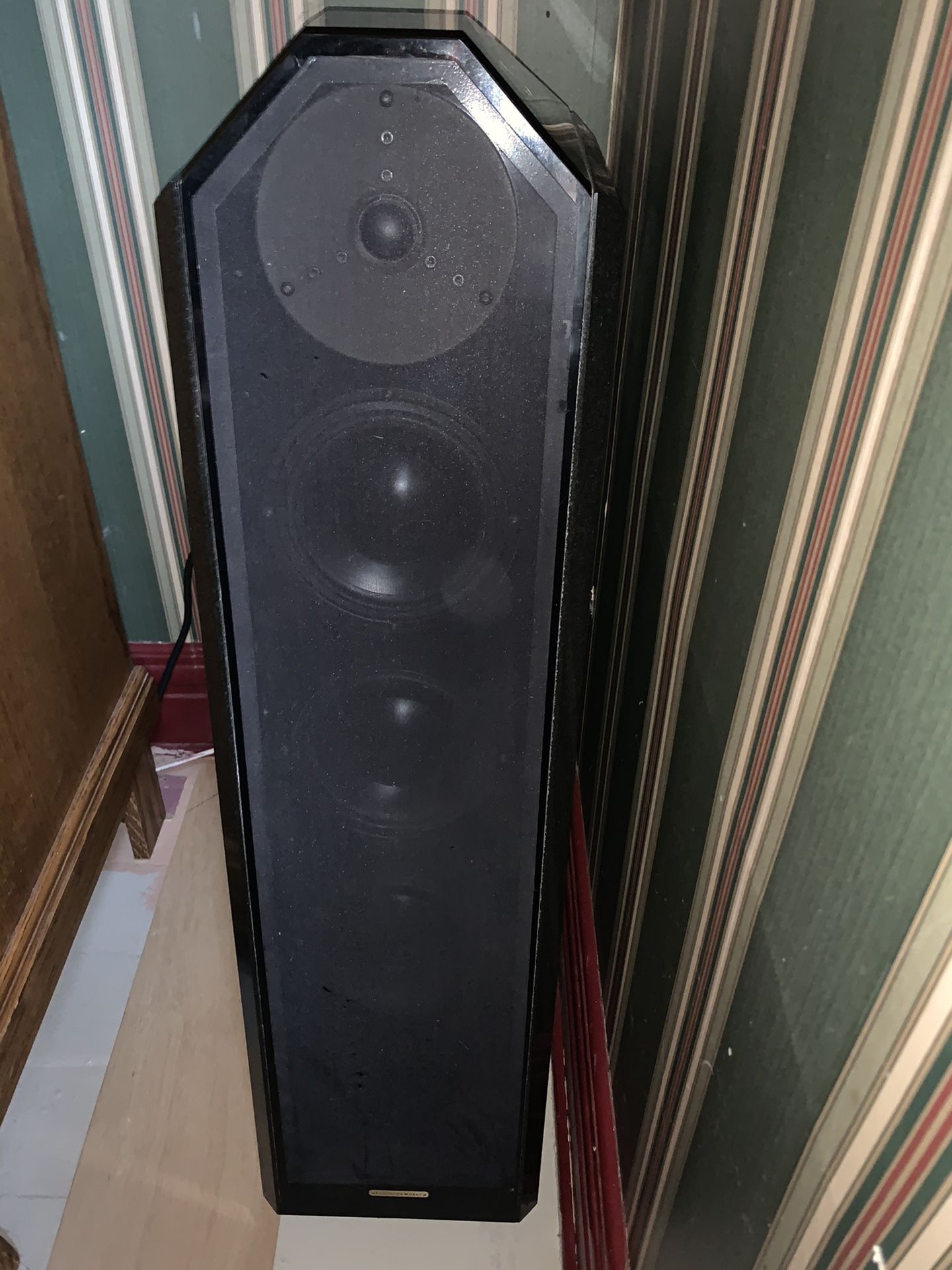 Eggleston works Rosa speakers dynaudio originally cost 10,000.00 210 pounds each