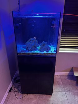 Saltwater Aquarium Aquatop AIO