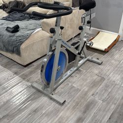Golds Gym Exercise Bike