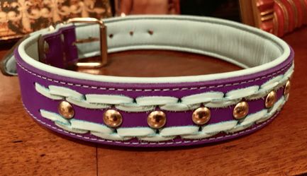 Dog NEW collar !