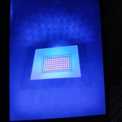 50 Watt Black Lights 