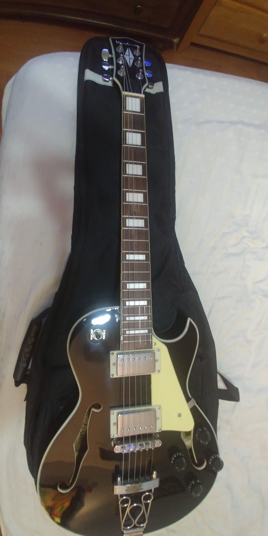 Windaroo Deep Hollowbody Electric Guitar Mint