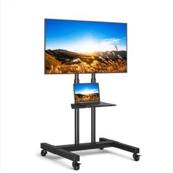 Mobile TV Cart