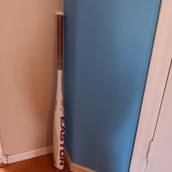 Softball Bat