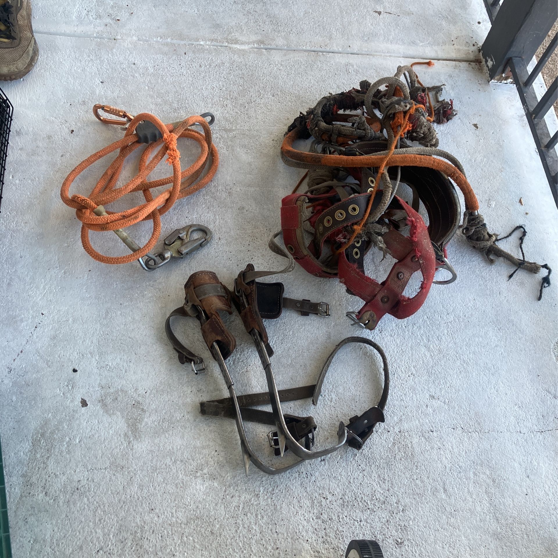 Palm Tree Climbing gear