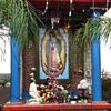 Zenaida