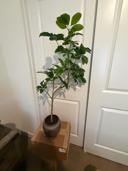 39" Spade Leaf Tree - Threshold