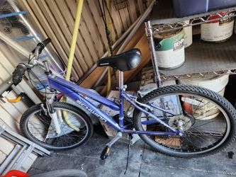 Mountain bike,  purple  24in