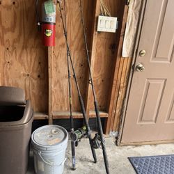 Daiwa And Penn Sea Fishing Rods