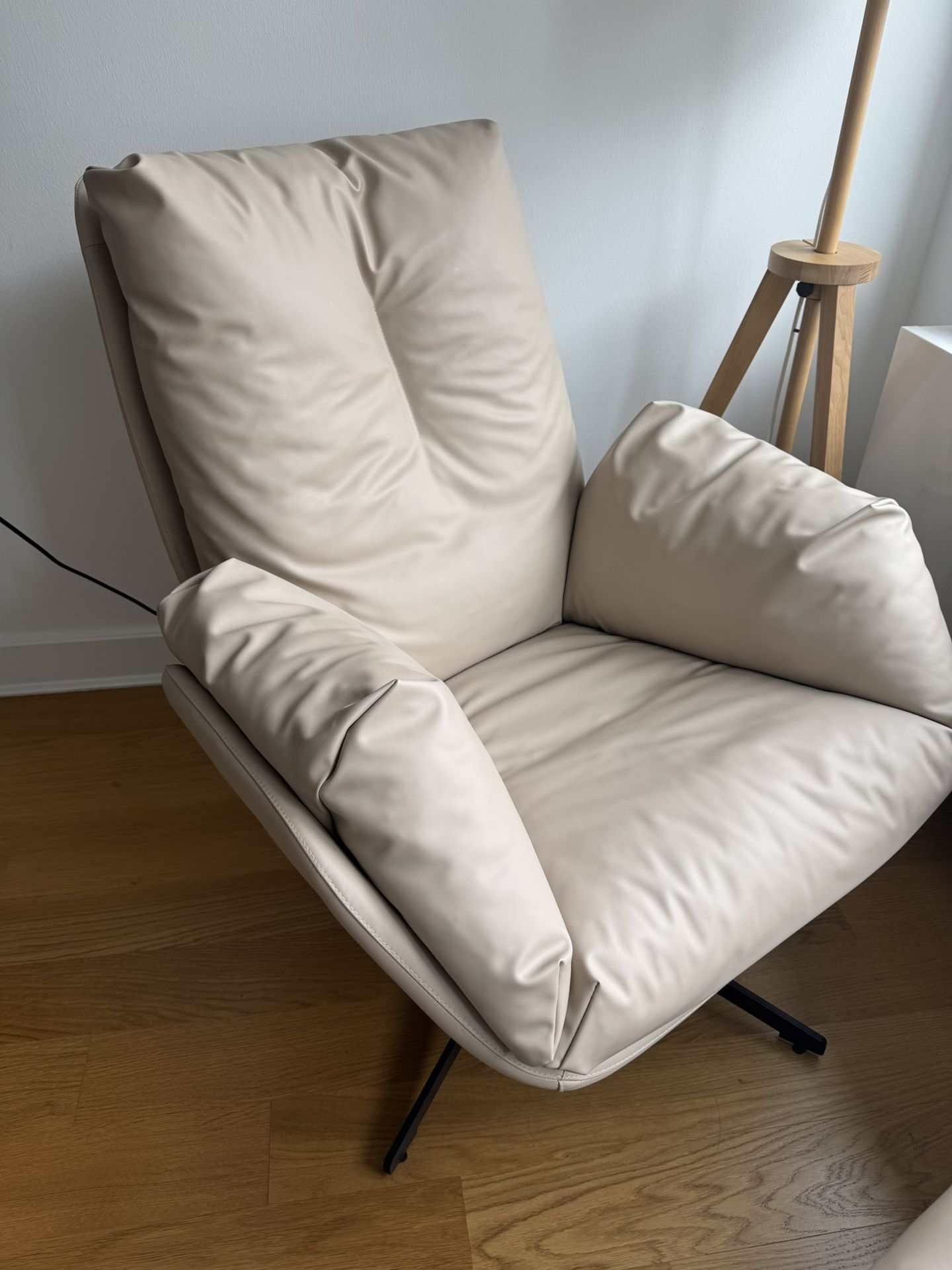 Accent Chair With Goose Down Cushion