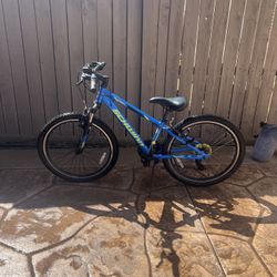 Schwinn Mountain Bike