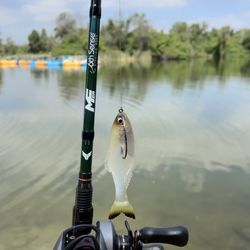 Abu Garcia Revo5 Sx Bait cast Reel