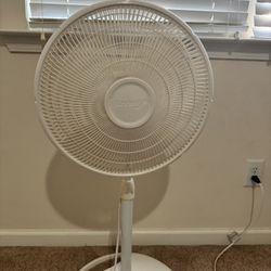 Standing Fan