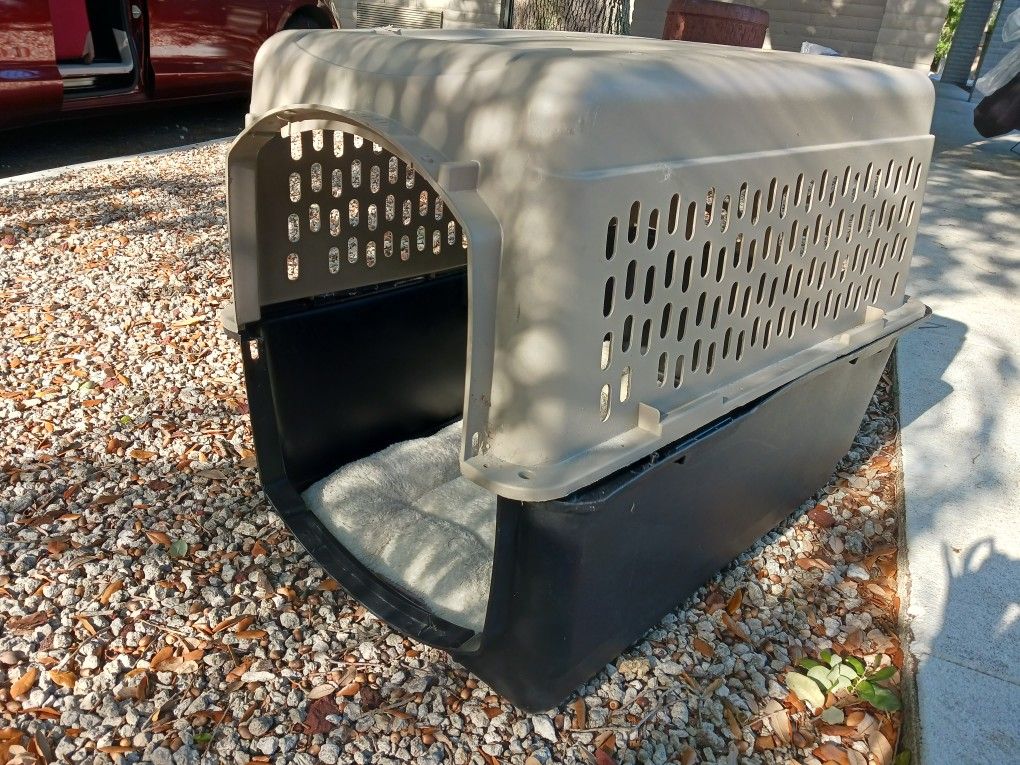 Dog Kennel