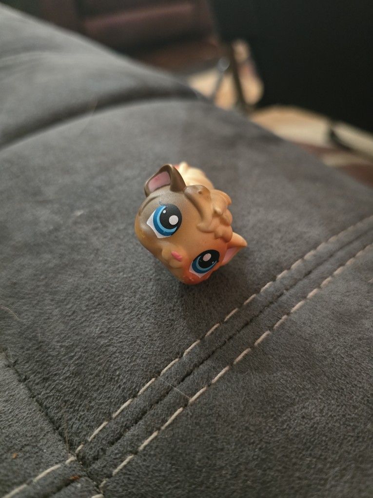 lps